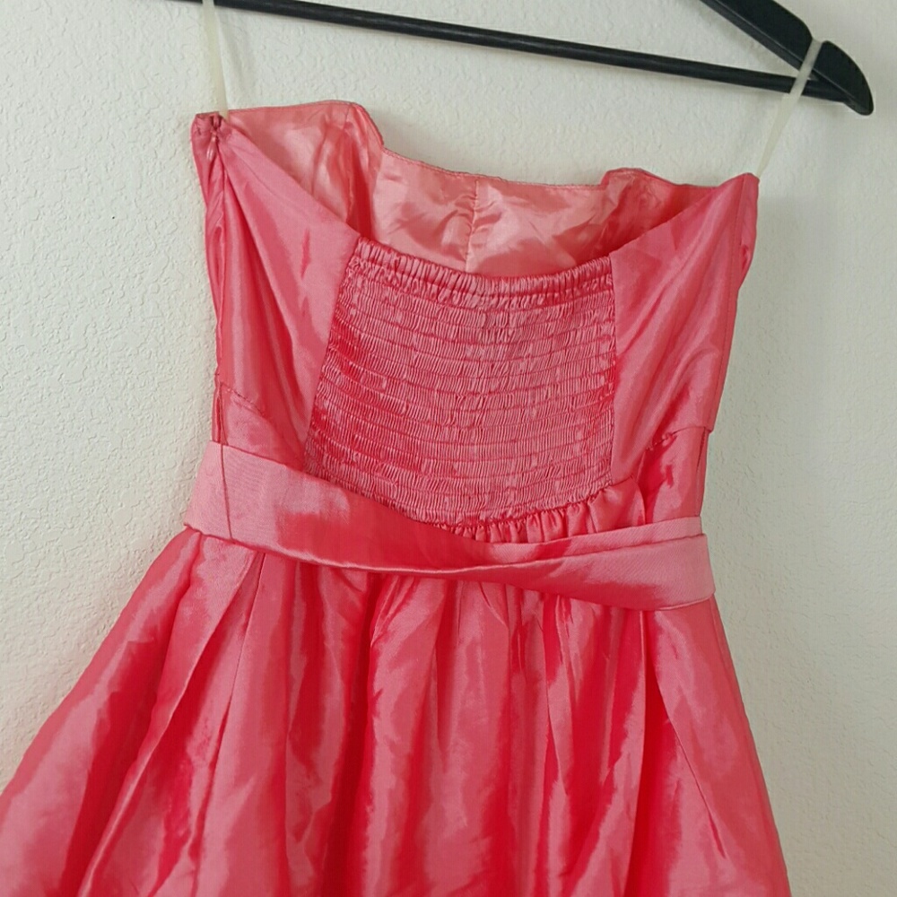 Daisy - Picture 5 of 6